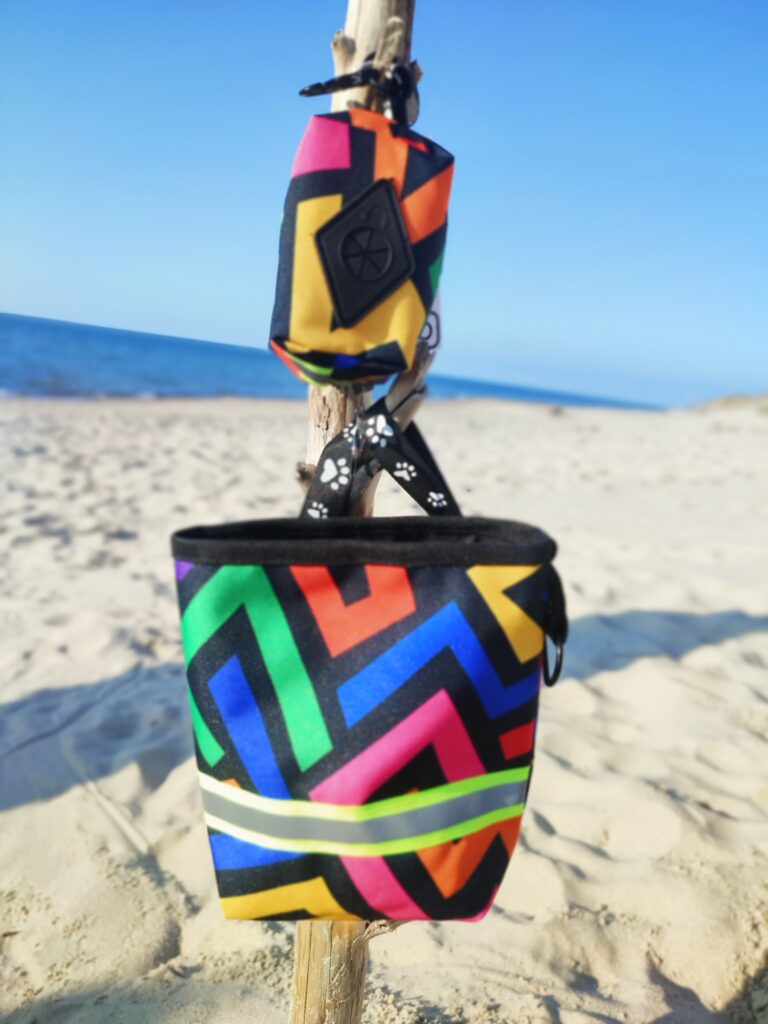 handmade dla psa zestaw spacerowy