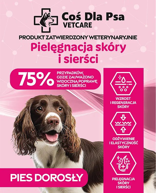 karma dermatologiczna dla psa