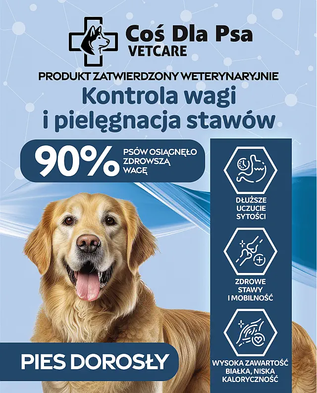karma na stawy i odchudzanie dla psa