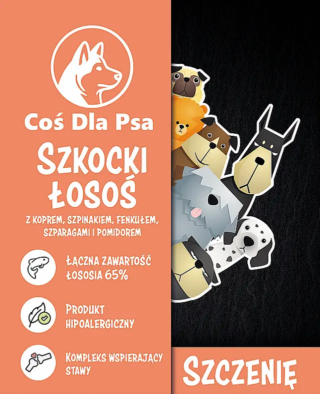 Karma dla psa Superfood z lososiem dla szczeniaka