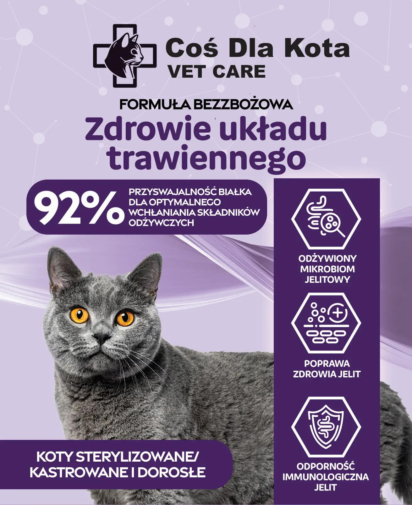 Zdrowie ukladu trawiennego karma dla kota VetCare