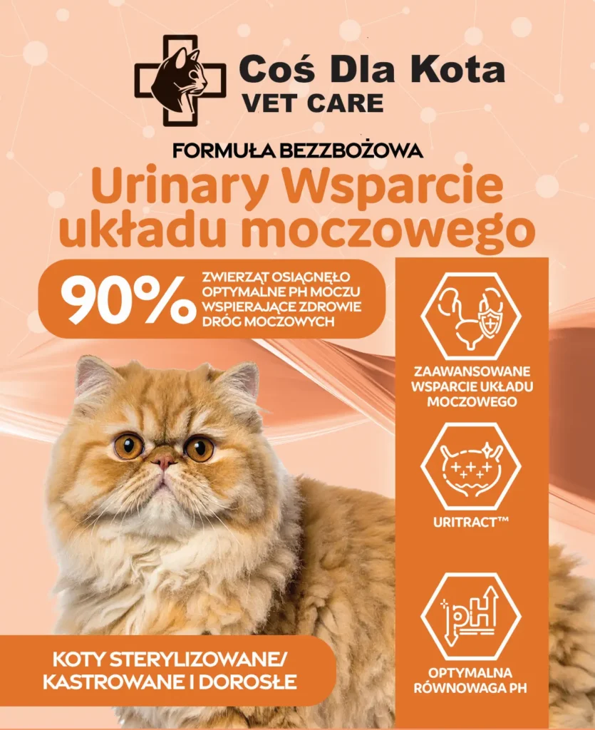 karma na układ moczowy dla kota