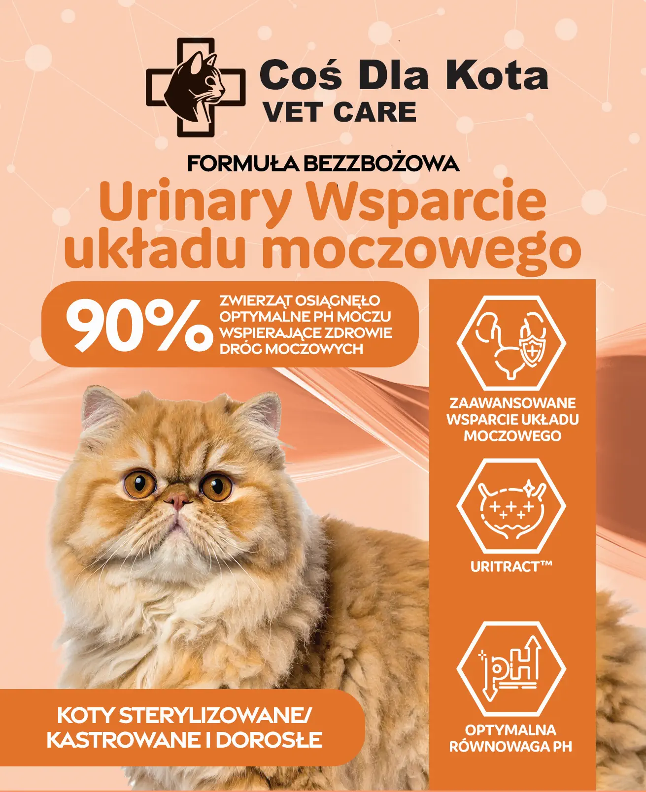 Urinary wsparcie ukladu moczowego karma dla kota VetCare